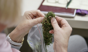 Rynek konopi włóknistych w Polsce - rozwój, regulacje i rosnące zainteresowanie