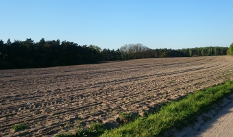 Fundusz Ochrony Rolnictwa – można składać wnioski o przyznanie rekompensaty