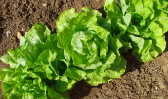 Czy można zbudować tunel w ramach działania I.10.4 Inwestycje przyczyniające się do ochrony środowiska i klimatu