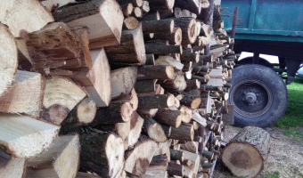 Zużycie energii ze źródeł odnawialnych