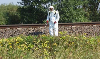 Zanim opryskasz - sprawdź, czy możesz!