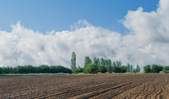 W sprawie Rad Społecznych przy KOWR