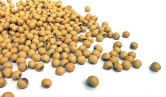 USDA: soja – grudniowa aktualizacja