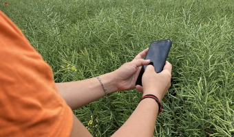 Kampania 2026 - w ciągu pierwszych dwóch dni wpłynęło 4200 wniosków