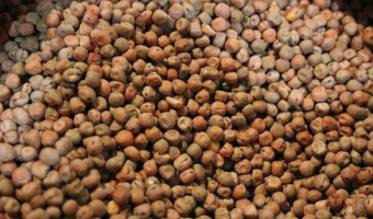 Za nami szczyt Trump – Xi Jinping. Czy Chiny przestawią się na amerykańską soję?