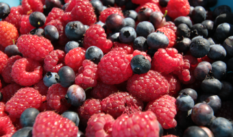 Owoce z krzewów owocowych i plantacji jagodowych