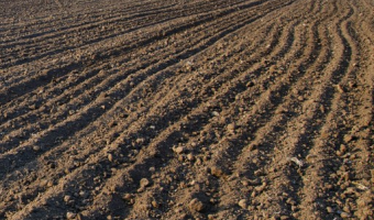 Produkcja globalna sektora towarów i usług środowiskowych