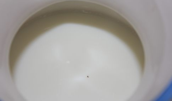 Ceny netto skupu mleka surowego według GUS w listopadzie 2025 r.