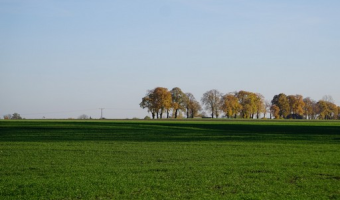Rolnicy łatwiej ubezpieczą uprawy z dopłatą państwa. Sejm rozpoczął prace nad zmianami w systemie ubezpieczeń