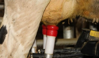 Spadek wartości skupu produktów rolnych