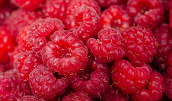 Obroty handlu zagranicznego malinami