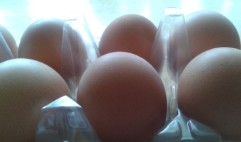 Ceny jaj w Polsce (28.12.2025)