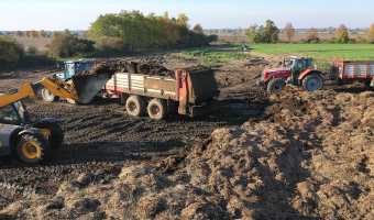 Terminy stosowania nawozów jesienią