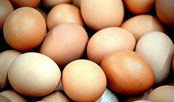 Ceny jaj w Polsce (22.02.2026)