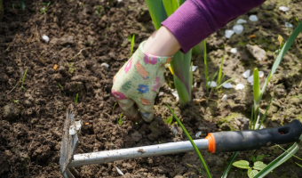 Ważne zmiany dotyczące pomocników rolnika - wysiedleńców z Ukrainy