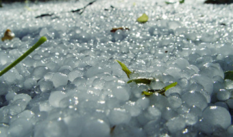 Anomalie pogodowe: 446 mln zł pomocy krajowej przekazane na konta rolników