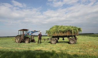 Drugi pokos traw: zebrano około 4,4 mln ton siana