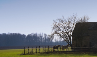 GUS: Powierzchnia gospodarstw rolnych w Polsce zajmuje ok. 16 mln ha gruntów