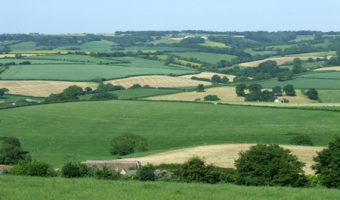 Grunty pozostające do rozdysponowania