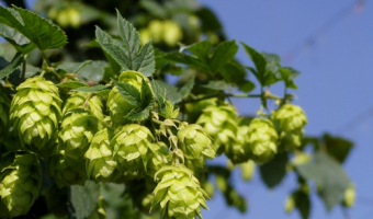 Rozliczenie wsparcia z KPO - ważne terminy