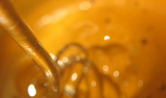 Zasady stosowania nazwy 