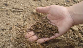 Aktywny rolnik i zakaz sprzedaży polskiej ziemi przyjęte przez Sejm RP
