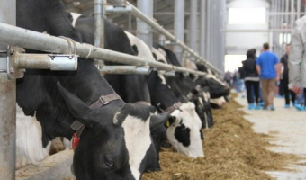 Rejestr pierwszych podmiotów skupujących mleko