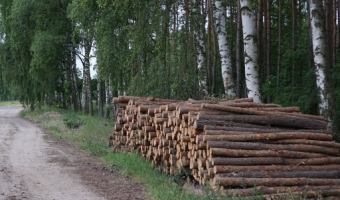 Gospodarcze wykorzystanie lasu