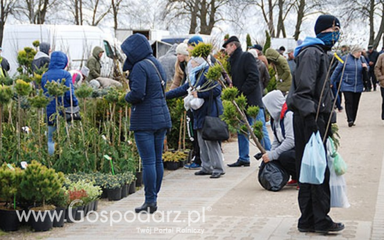 Wiosenne Targi Ogrodnicze i Targi Pszczelarskie w Szepietowie