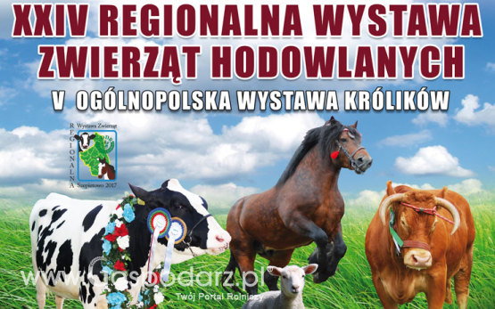 XXIV Regionalna Wystawa Zwierząt Hodowlanych w Szepietowie już w ten weekend!
