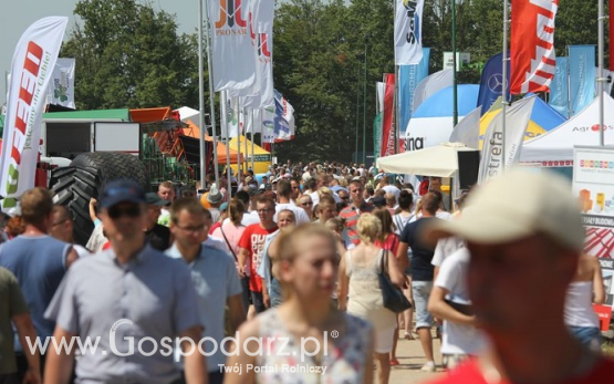XXIII Regionalna Wystawa Zwierząt Hodowlanych w Szepietowie. Zakończyły się największe targi rolnicze północno-wschodniej Polski