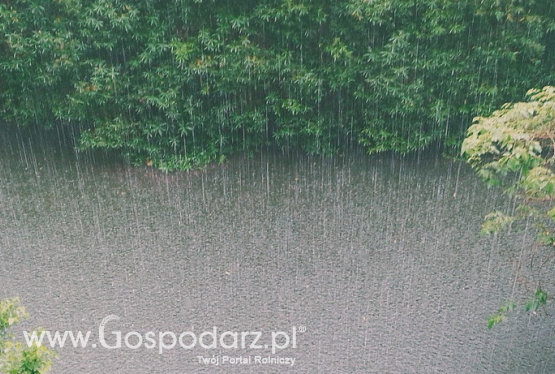 Zwalczanie szkodliwych i intensywnych skutków opadów