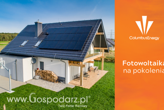 Panele monokrystaliczne