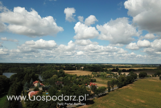 1 hektar kupi nie tylko rolnik