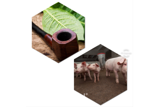 Pomoc dla producentów rolnych