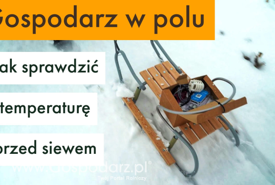 Jak sprawdzać temperaturę przed siewem