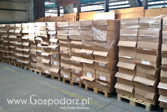 Zabezpieczono 30 mln papierosów wartych 21 mln zł