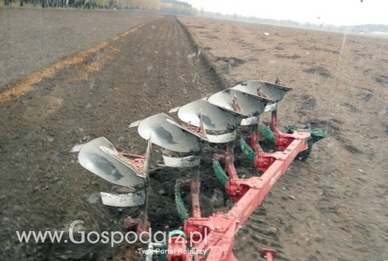 Tydzień Gospodarza 30 sierpnia. 1 hektar ziemi dla nie rolnika