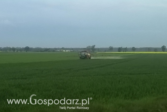 Ponad 70 ton nielegalnych środków ochrony roślin zatrzymanych