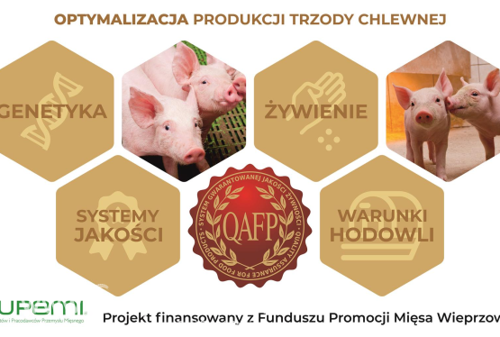 Sytuacja producentów trzody chlewnej na dynamicznie zmieniającym się rynku wieprzowym