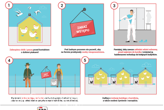 Apel w sprawie ptasiej grypy u drobiu 2020