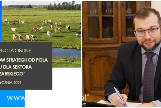 Ocena skutków strategii „Od Pola do Stołu” dla sektora mleczarskiego