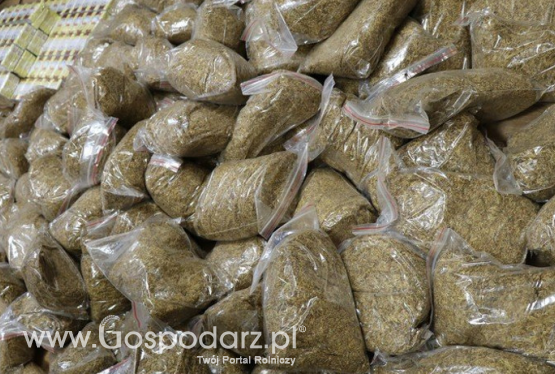Policjanci zabezpieczyli ponad 23 tys. nielegalnych papierosów i 166 worków z tytoniem