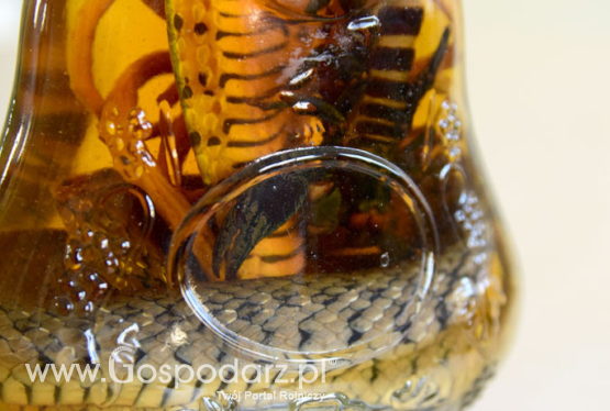 Kłopotliwe pamiątki z wakacji