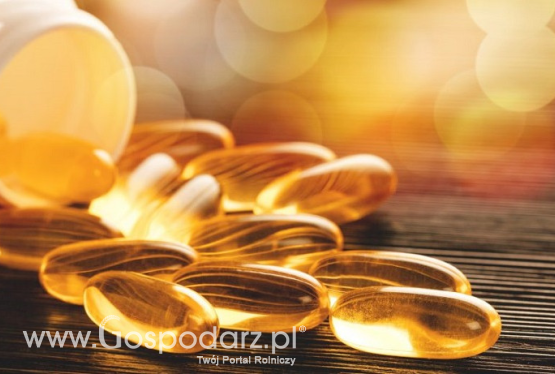 Określono maksymalną ilość Witaminy D w suplementach diety