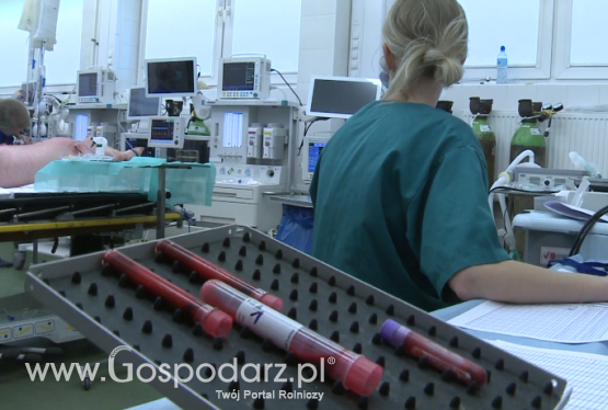 SGGW i PAN testują respirator z urządzeniem do jednoczesnej wentylacji dwóch pacjentów