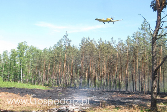 Podpalacz złapany dzięki kamerom