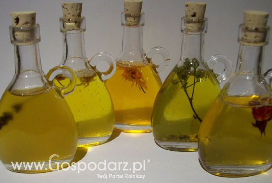 Nieznaczne wahania cen tłuszczów roślinnych