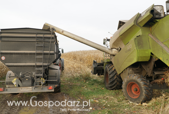 Wysokie zbiory zbóż