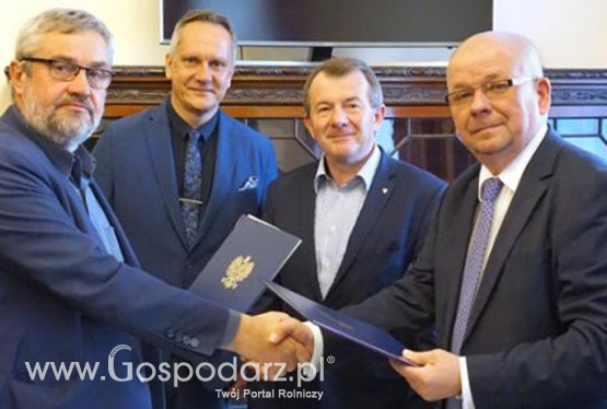 Przeciwdziałamy bezdomności zwierząt